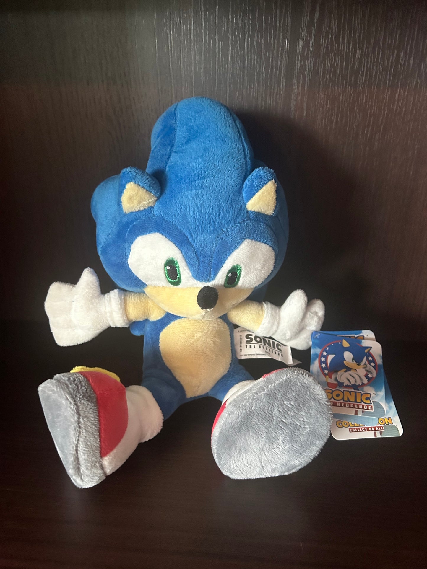 Sonic 30cm